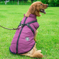 Bild in Galerie-Betrachter laden, PawProtect - Wasserfeste Hundejacke
