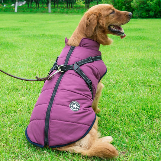 PawProtect - Wasserfeste Hundejacke