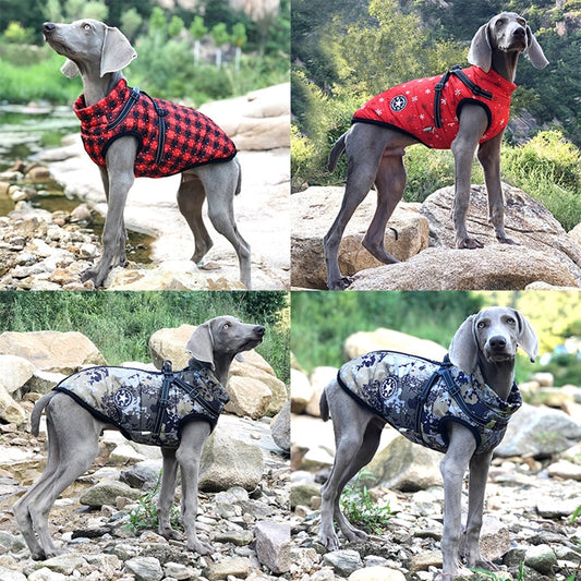 PawProtect - Wasserfeste Hundejacke