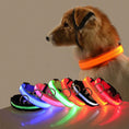 Bild in Galerie-Betrachter laden, NightGlow Collar™ - Hundehalsband
