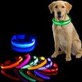 Bild in Galerie-Betrachter laden, NightGlow Collar™ - Hundehalsband
