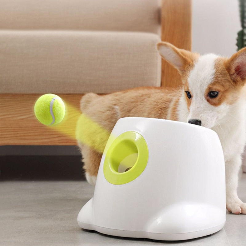 PetPlay™ - Ball Wurfmaschine