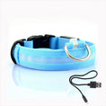 Bild in Galerie-Betrachter laden, NightGlow Collar™ - Hundehalsband
