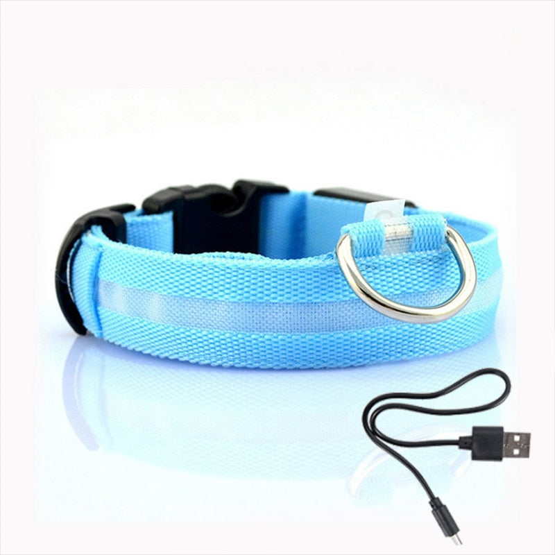 NightGlow Collar™ - Hundehalsband