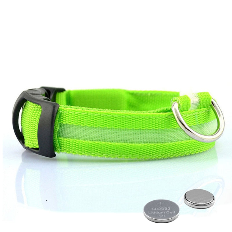 NightGlow Collar™ - Hundehalsband