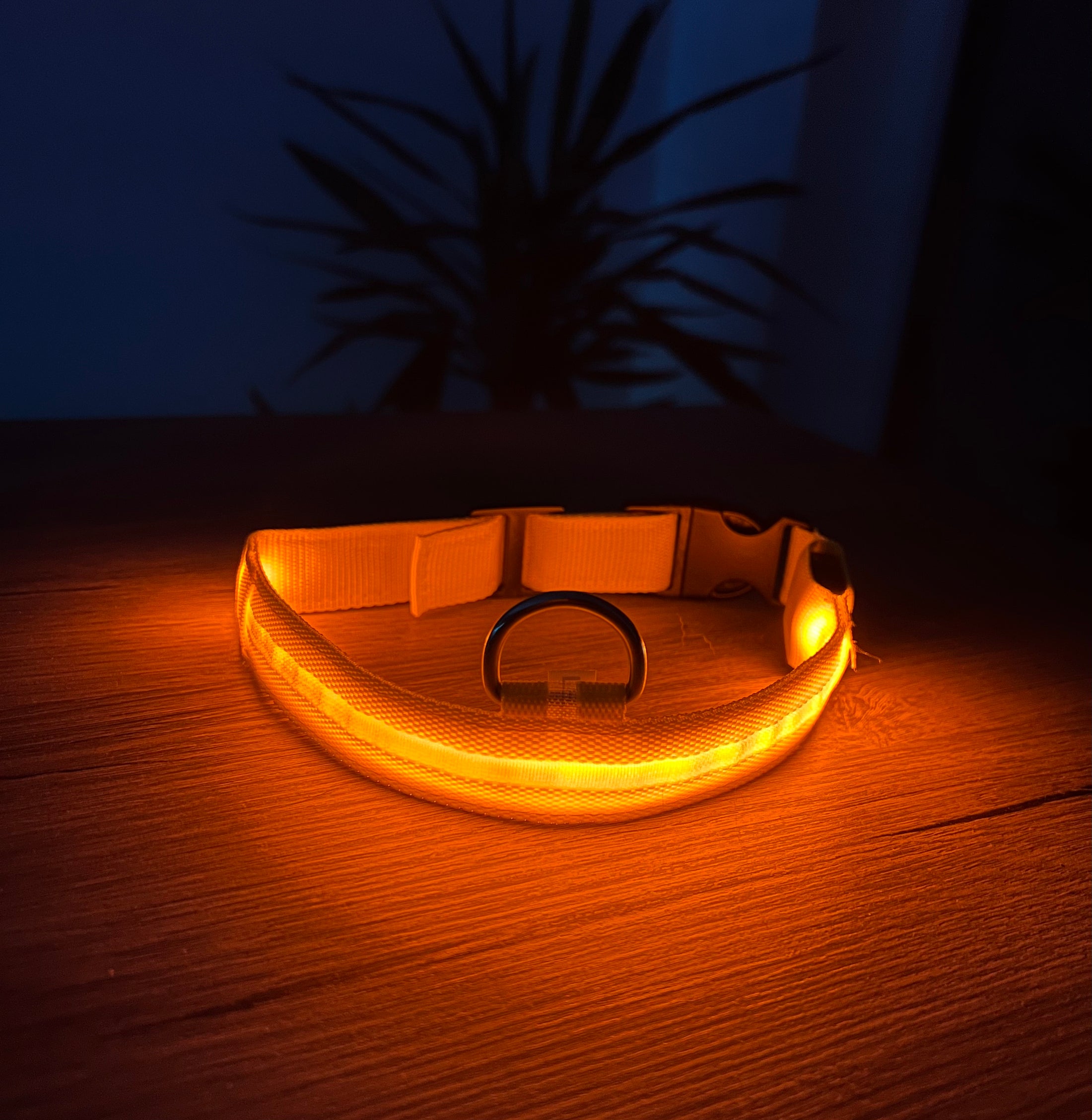 NightGlow Collar™ - Hundehalsband