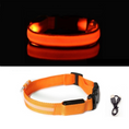 Bild in Galerie-Betrachter laden, NightGlow Collar™ - Hundehalsband
